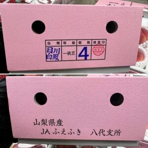 CCE54728-B4DC-4AF5-B4E9-043E7BAA9903