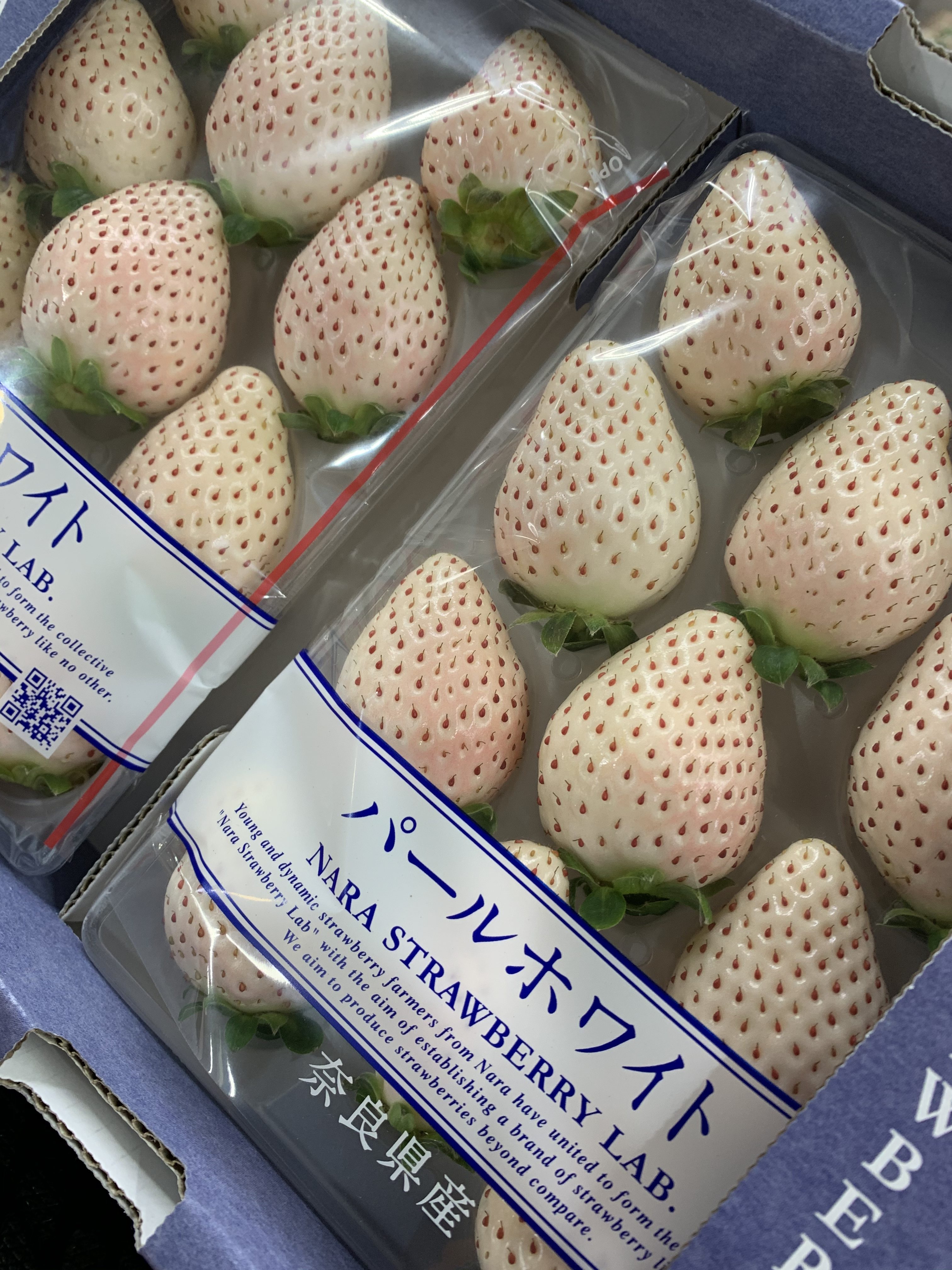 苺中②確認用（パールがホワイト） 苺中②確認用（パールがホワイト）