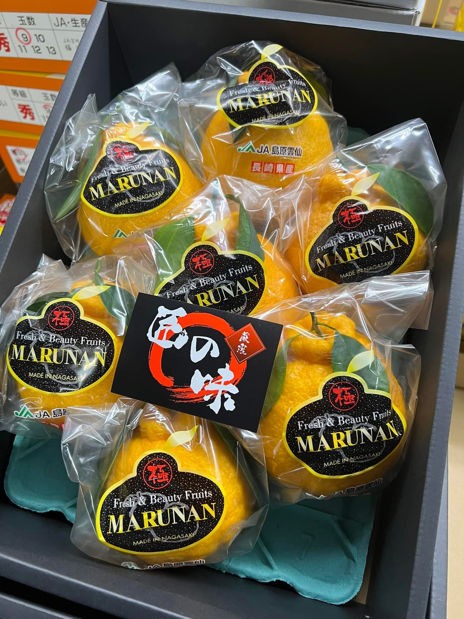 JA島原雲仙〇南 ～葉付デコポンとデカポン～ | くだものだより