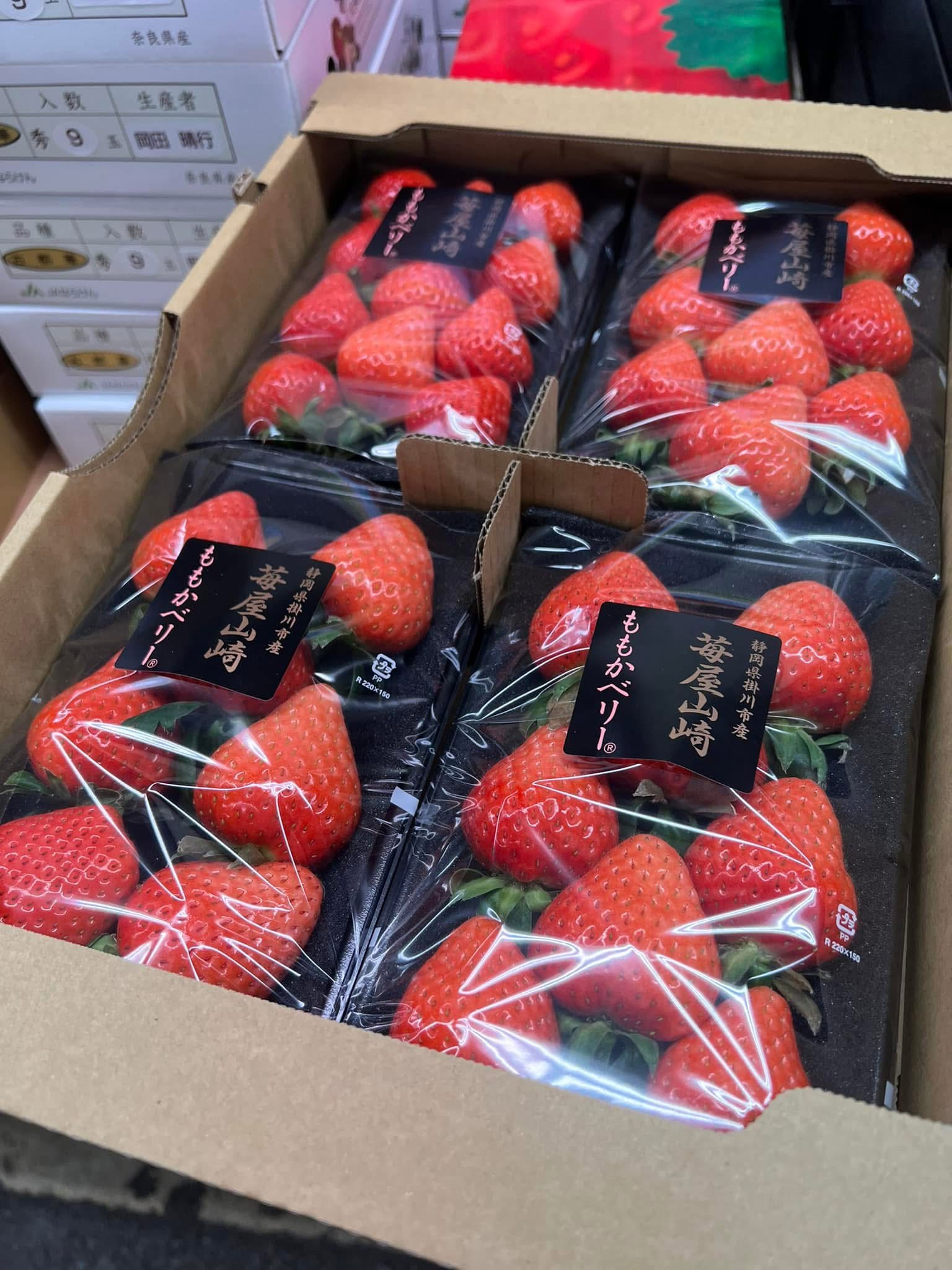 静岡県 掛川市産 ～ももかベリー🍓～ | くだものだより