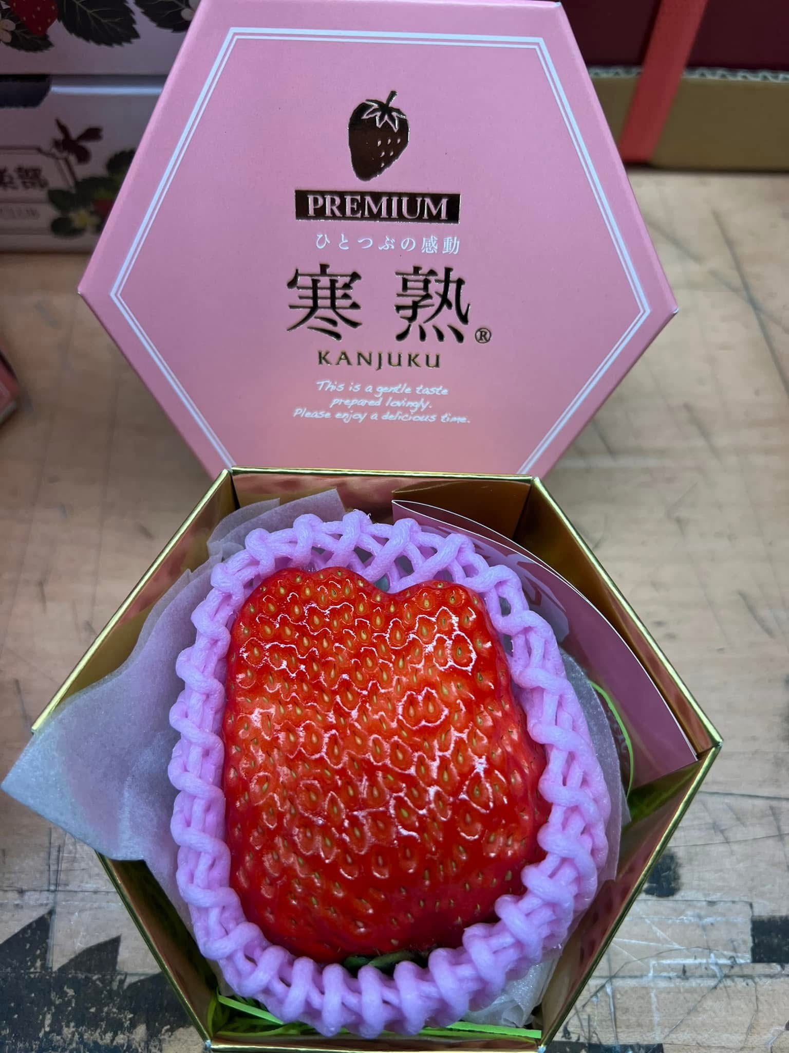 愛知県 ファームトヨヒロ ～寒熟 KANJYUKU🍓～ | くだものだより