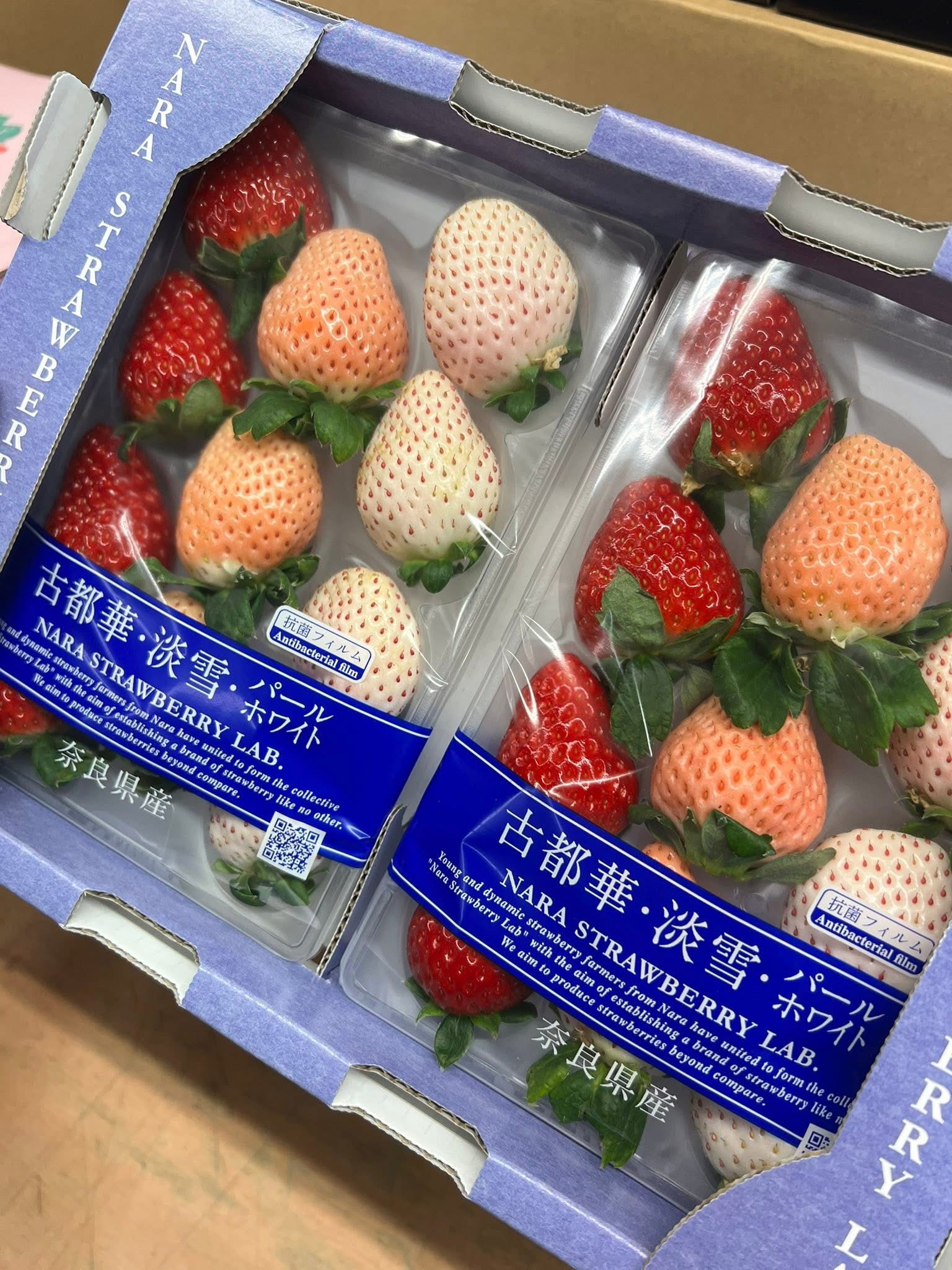 苺！+パールトーン加工 NARA STRAWBERRY LAB. ～三色いちご～ | くだものだより