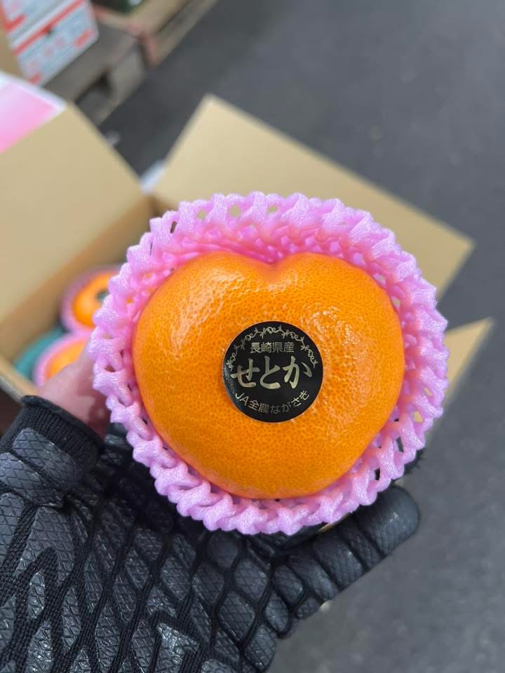 JA島原雲仙〇南 💗ハートせとか | くだものだより