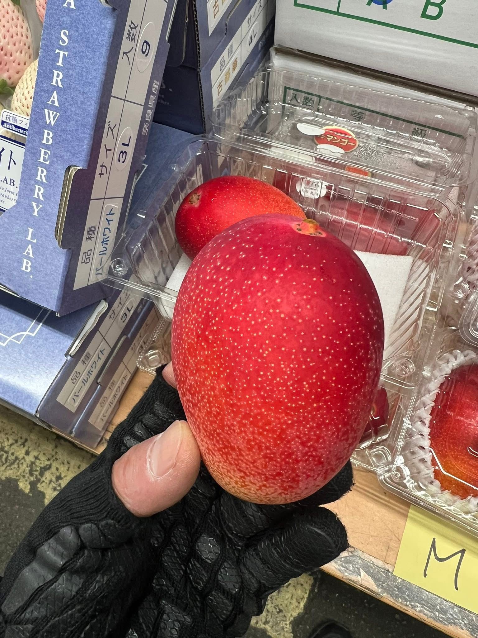 宮崎県 JA宮崎中央 ～ミニマンゴー～ | くだものだより