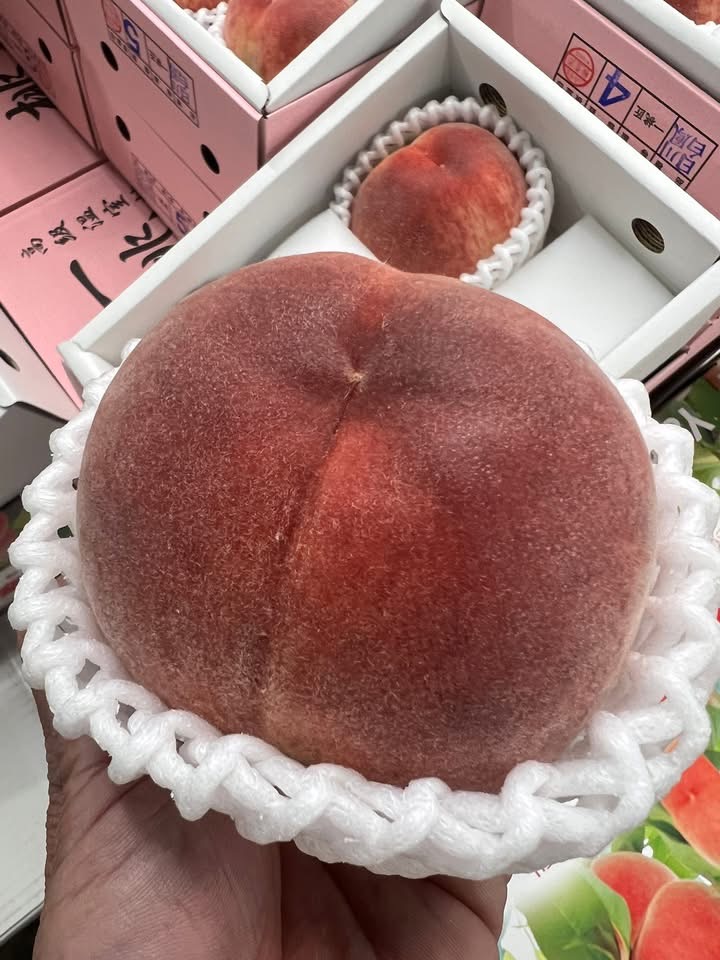 山梨県 JAふえふき 八代支所 ～日川白鳳🍑一桃匠 大玉～ | くだものだより